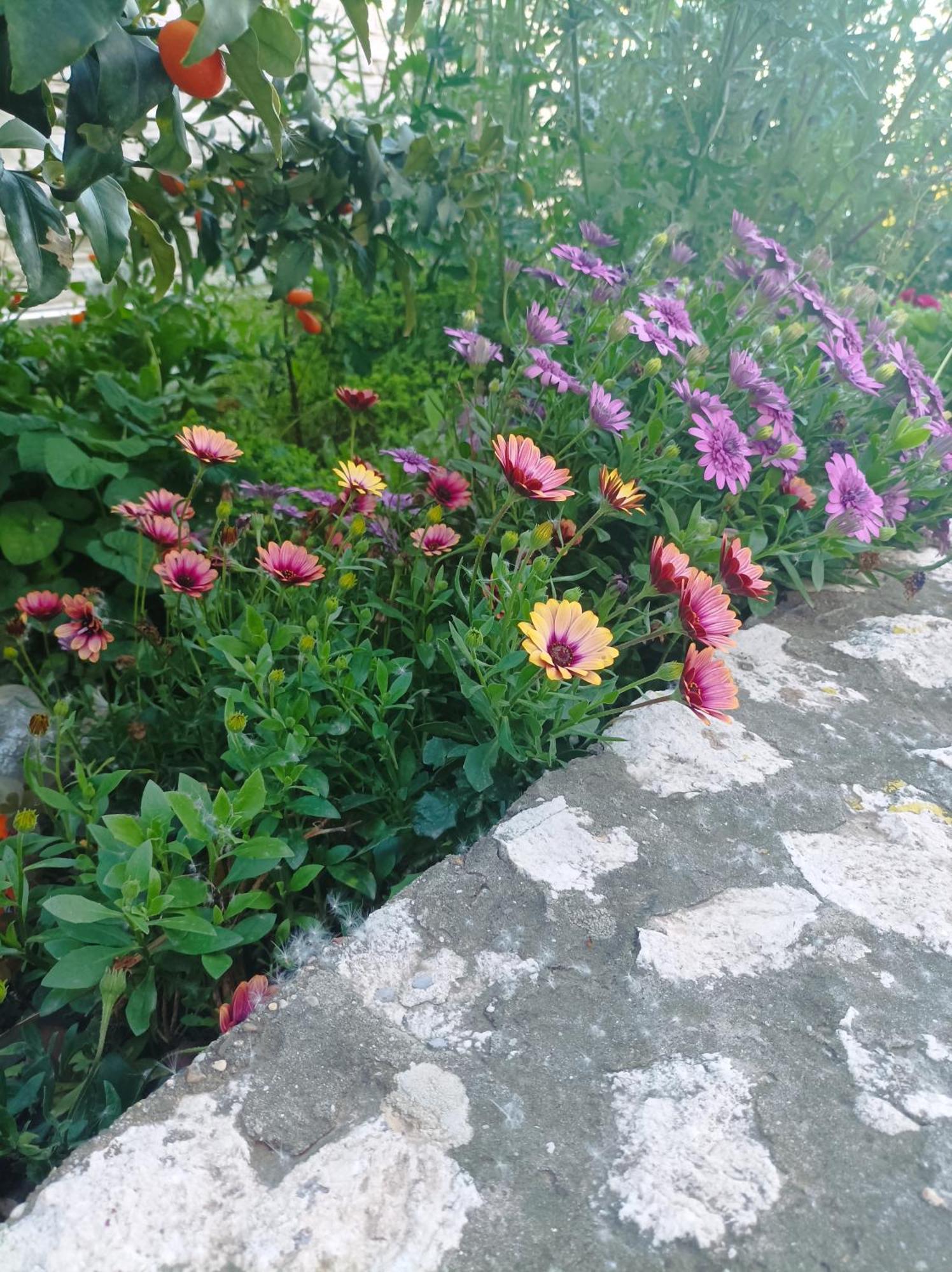 Apartamento Dva lava Podaca Exterior foto