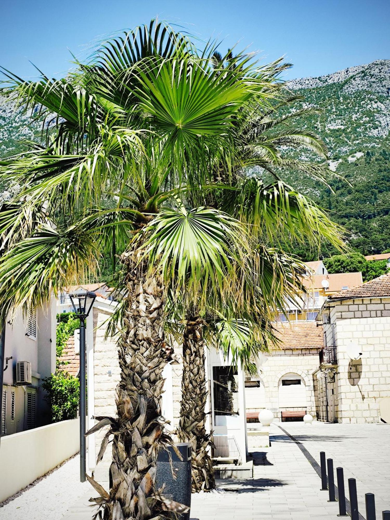 Apartamento Dva lava Podaca Exterior foto